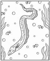 Electric Eel Coloring Page To Print sketch template