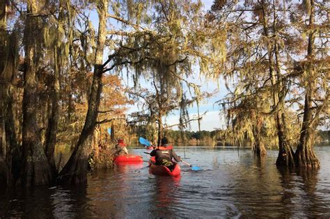 5 National Parks Near Houston, Texas - The National Parks Experience