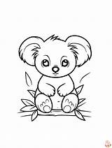 Free Printable Koala Coloring Pages  GBcoloring sketch template