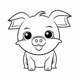 Cute Pig Coloring sketch template