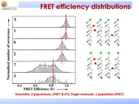 PPT - Single molecules & Photo-physics PowerPoint Presentation - ID:4590116