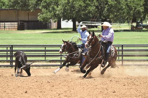 Announcement: New Nationwide Team Roping Clinic Tour