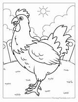 Chicken Color Page Coloring  Vrogueco sketch template