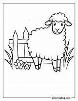 40 Farm Animals Coloring Pages Free Printable PDFs sketch template