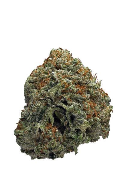 Black Russian Strain - Hybrid Cannabis Review, CBD : Hytiva