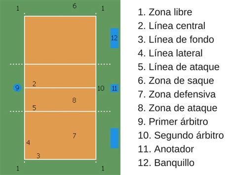 Total 82+ imagen cuáles son las principales reglas del voleibol - Viaterra.mx