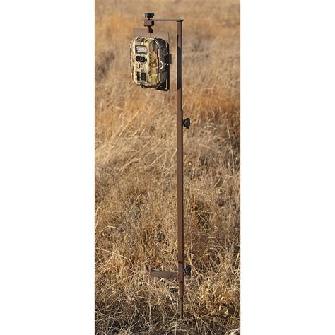 Perfect Arm™ Trail Camera Mount - 221099, Game & Trail Cameras at Sportsman's Guide