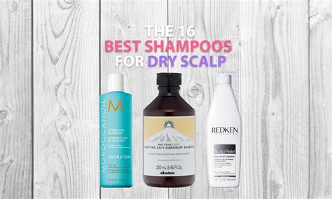 The 16 Best Shampoos for Dry Scalp of 2022 - LUXEBC