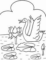 Vintage Swan Water Lily Embroidery Coloring Pages & Book For Kids sketch template