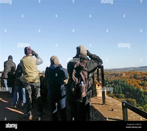 Visitors at Symonds Yat Rock viewpoint Forest of Dean Gloucestershire ...