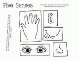 Free Coloring Pages 5 Senses  Home sketch template