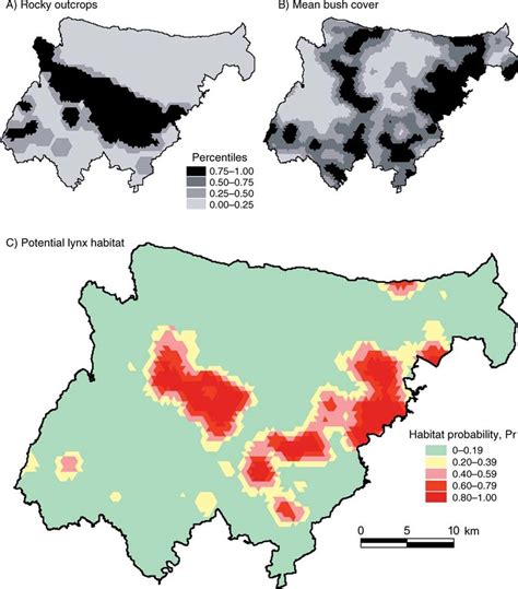 Iberian Lynx Habitat