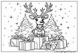 89 Reindeer Coloring Pages  ColoringPagesOnlycom sketch template