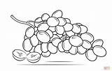 Grapes Coloring Page  Free Printable Coloring Pages sketch template