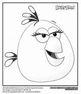 Radkenz Artworks Gallery Angry Birds Coloring Page  Nation sketch template