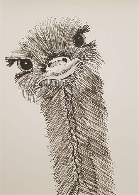 Funny Drawings Of Animals - Drawing.rjuuc.edu.np