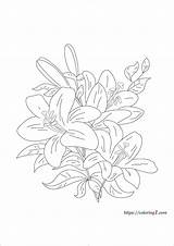Lily Flower Coloring Pages  2 Free Sheets 2021 Printable sketch template