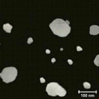 Scanning electron microscope image of freeze-dried agglomerated human... | Download Scientific ...