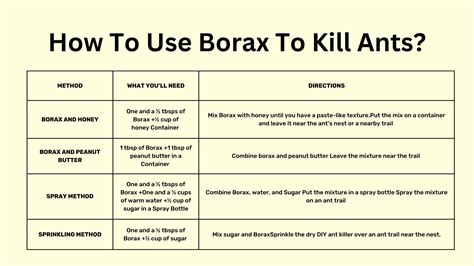 Diatomaceous Earth Vs Borax: Major Difference - GreenRatControl