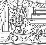 Circus Lion Biting Whip Coloring Page For Kids 35887986 Vector Art At  sketch template