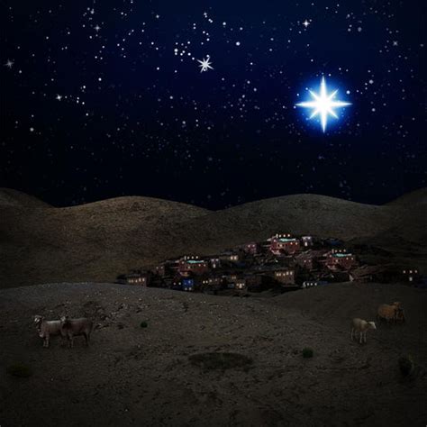 Christmas Bethlehem Night Scene Backdrop | Backdropsurce ...