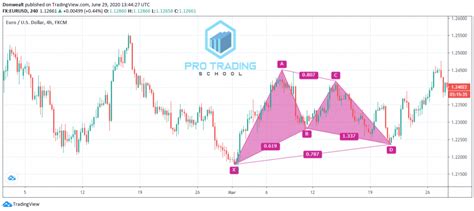 How to Trade the Gartley Pattern - Pro Trading School