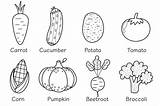 Fun And Educational Vegetable Coloring Pages For Kids sketch template