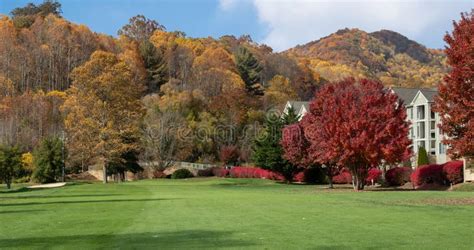 Fall Colors in the Blue Ridge Mountains Stock Image - Image of fall, sunny: 295829211