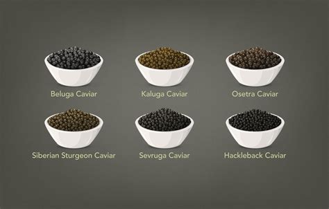 Understanding sturgeon caviar types – Black Caviar USA