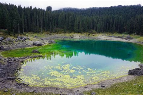 Free Images : tree, nature, wilderness, meadow, valley, mountain range, pond, reflection ...