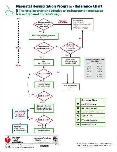 Neonatal Resuscitation Program - Reference Chart Pocket Card (Single) - AAP: 9781581105056 ...