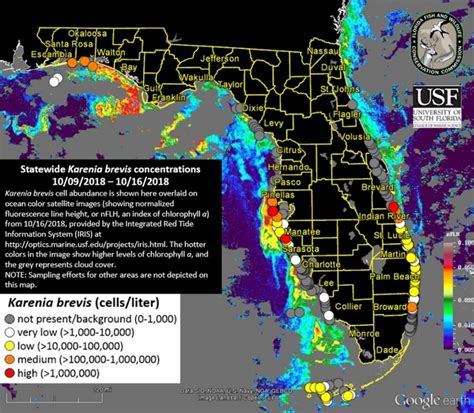 Florida Red Tide Map 2024 - Jeni Arleyne