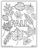Free Fall Leaf Coloring Pages PDF Download sketch template
