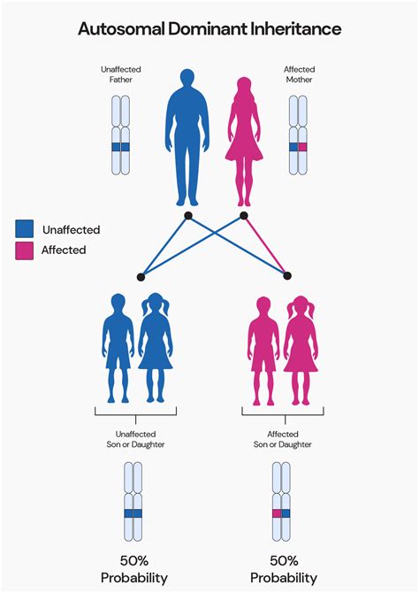 Familial Hemiplegic Migraine: 2023 Study Identifies 2 New Genes