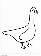 Good Goose coloring Page sketch template