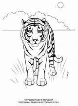 Wild animals coloring Pages For Kids To Print Free sketch template