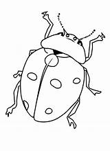 Free Printable Insect Coloring Pages sketch template