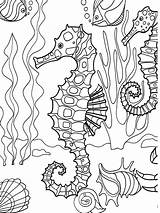 97 Best Under The Sea Coloring Or Painting Pages Images On Pinterest sketch template