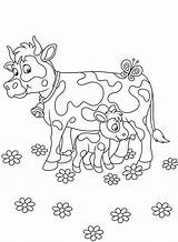 Baby Cow And Coloring Page  Free Printable Pages sketch template
