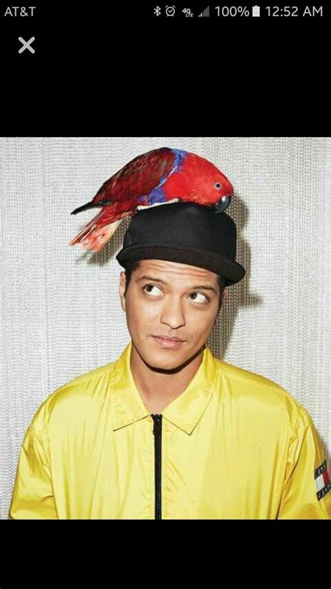 Pin by Samantha Jones on Bruno Mars | Captain hat, Bruno mars, Hats