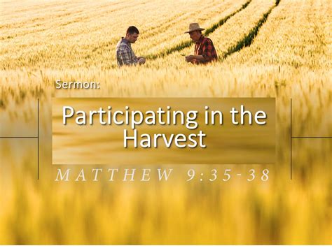 Sermon: “Participating in the Harvest" - Millgrove Bible Church - Millgrove Bible Church