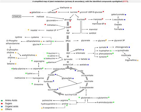 MetaboNews -- March 2012