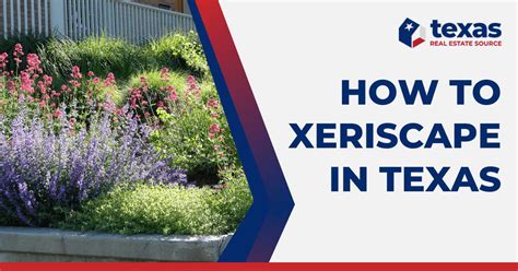 Xeriscape Texas: A Guide to Water-Wise Landscaping in 2023