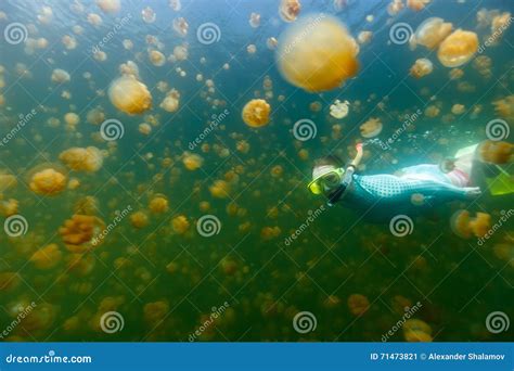 Tourist Snorkeling in Jellyfish Lake Stock Image - Image of golden, conservation: 71473821