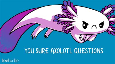 Cute Axolotl Wallpapers - Wallpaper Cave