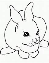 Free Printable Rabbit Coloring Pages For Kids sketch template