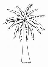 Date Palm Tree Coloring Pages sketch template