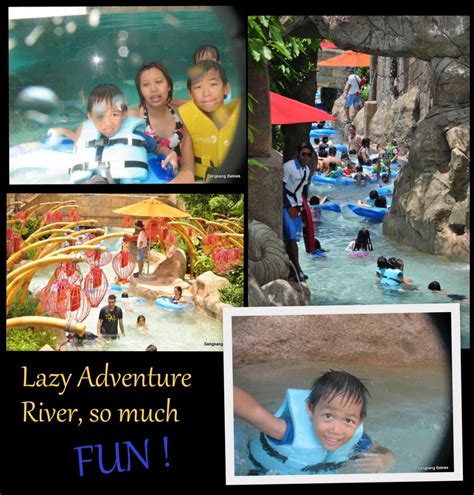 Adventure Cove Water park Map Archives - Sengkang Babies