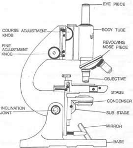 The Journal of Nadirsky.: Parts of Microscope (biology lesson)