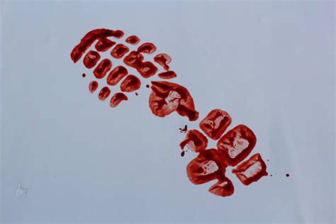 Bloody Footprints Pictures, Images and Stock Photos - iStock